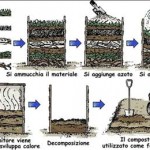 compostaggio domestico