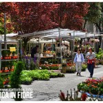 cattolica-in-fiore