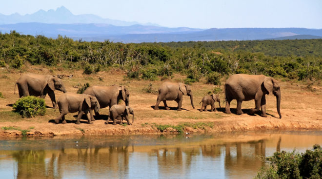 viaggio in africa