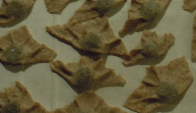 Tortello Cremaasco Integrale crudo